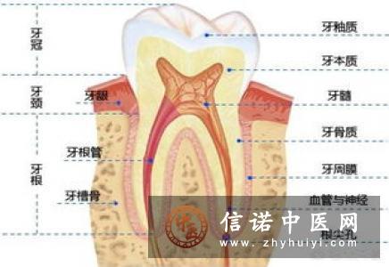 牙周病分为哪几类,怎么预防牙周病