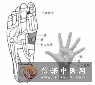 病理发射之下颌反射检查法